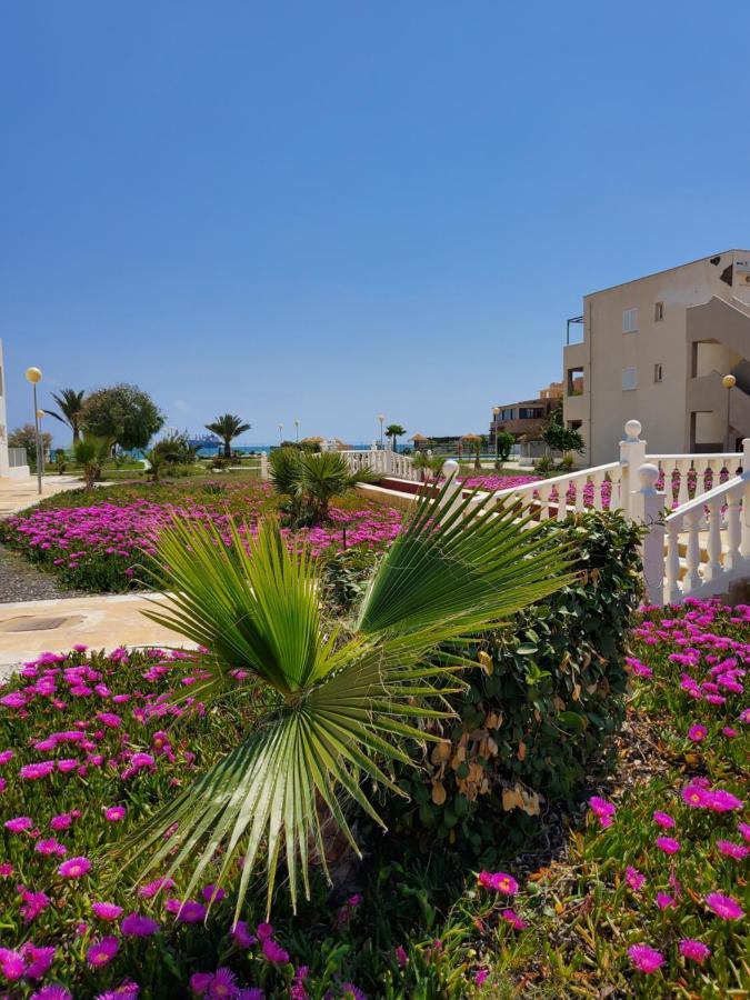 Apartamento Naturista En Primera Linea De Vera Playa!!! Las Bombardas 외부 사진